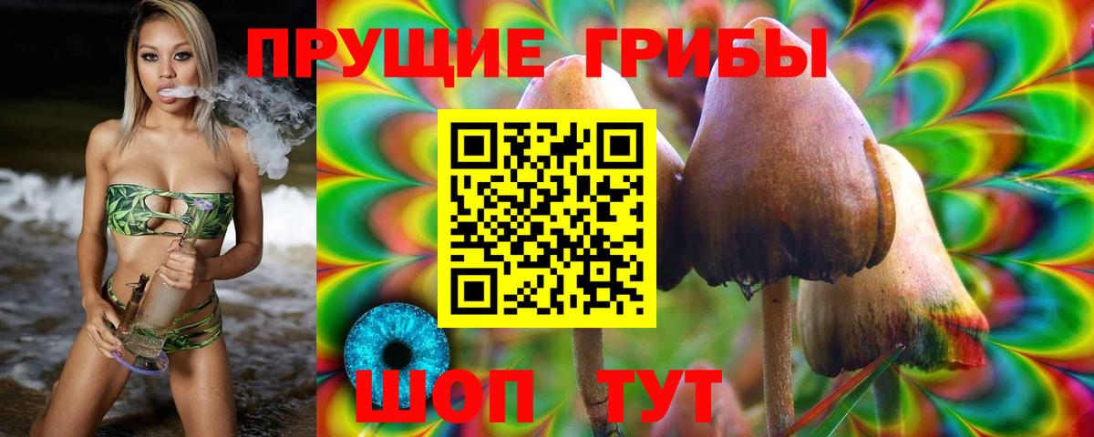 Богданович  Псилоцибиновые грибы Magic Shrooms  Вход с VPN 